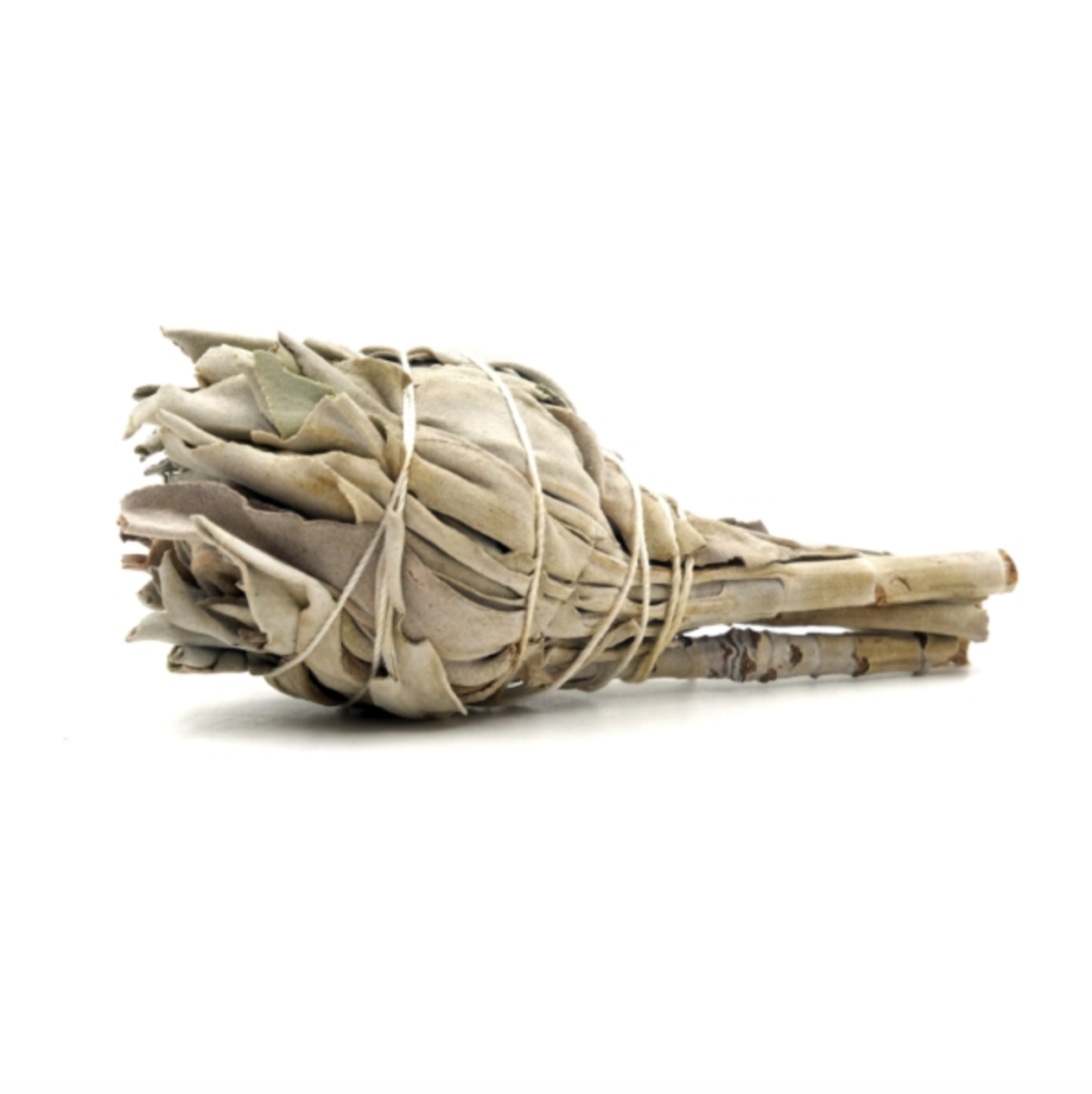 ROOTS